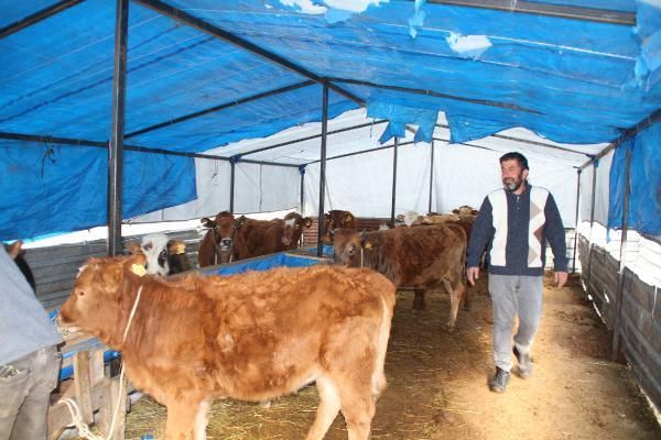 Emekli olu hayalini gerçekleştirdi: Çok karlı 2