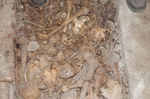 Tarla sürerken düştü! Görünce şoke oldu 2