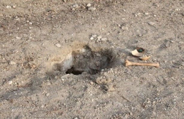 Tarla sürerken düştü! Görünce şoke oldu 8