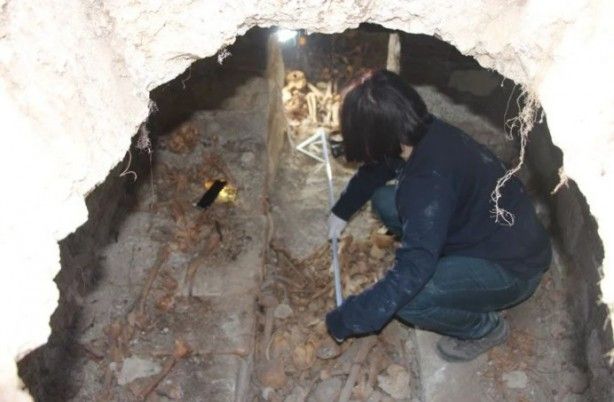 Tarla sürerken düştü! Görünce şoke oldu 9