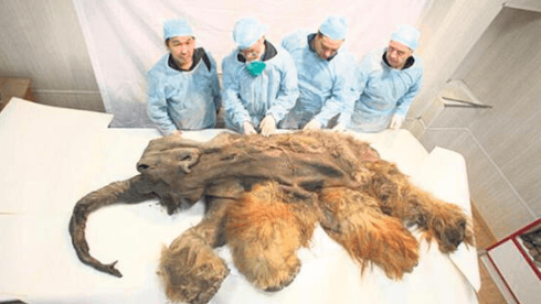 Dünya bunu konuşuyor! Türkiye'de bulundu 1