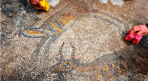 Dünya bunu konuşuyor! Türkiye'de bulundu 6