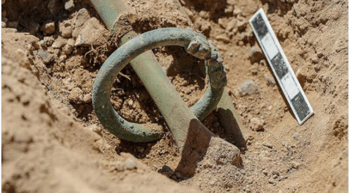 Dünya bunu konuşuyor! Türkiye'de bulundu 7