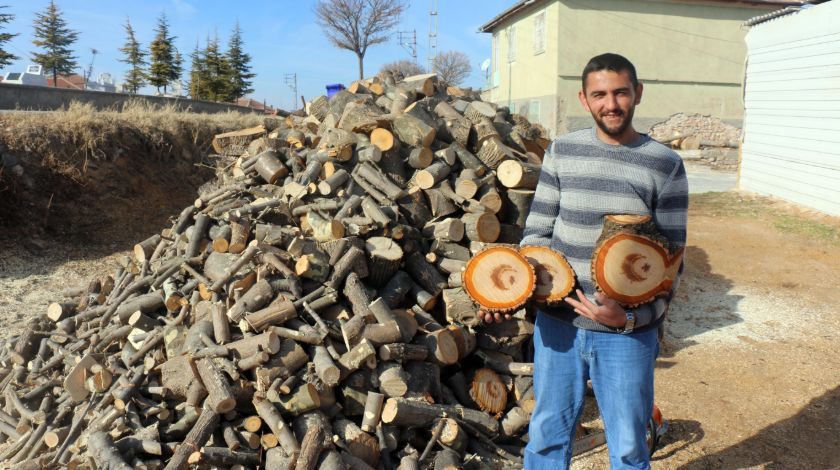 Görenler hayrete düştü! Ağacın içinden çıktı 1