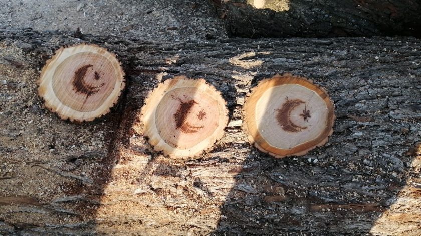 Görenler hayrete düştü! Ağacın içinden çıktı 4