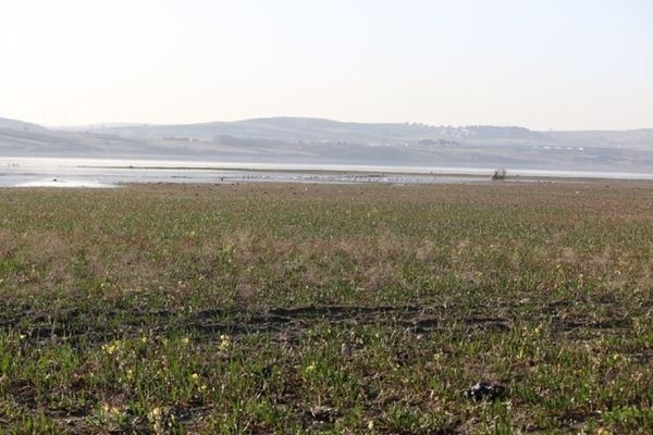 Böyle görüntülendi! Korkutan manzara... 5