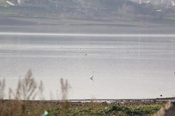 Böyle görüntülendi! Korkutan manzara... 1