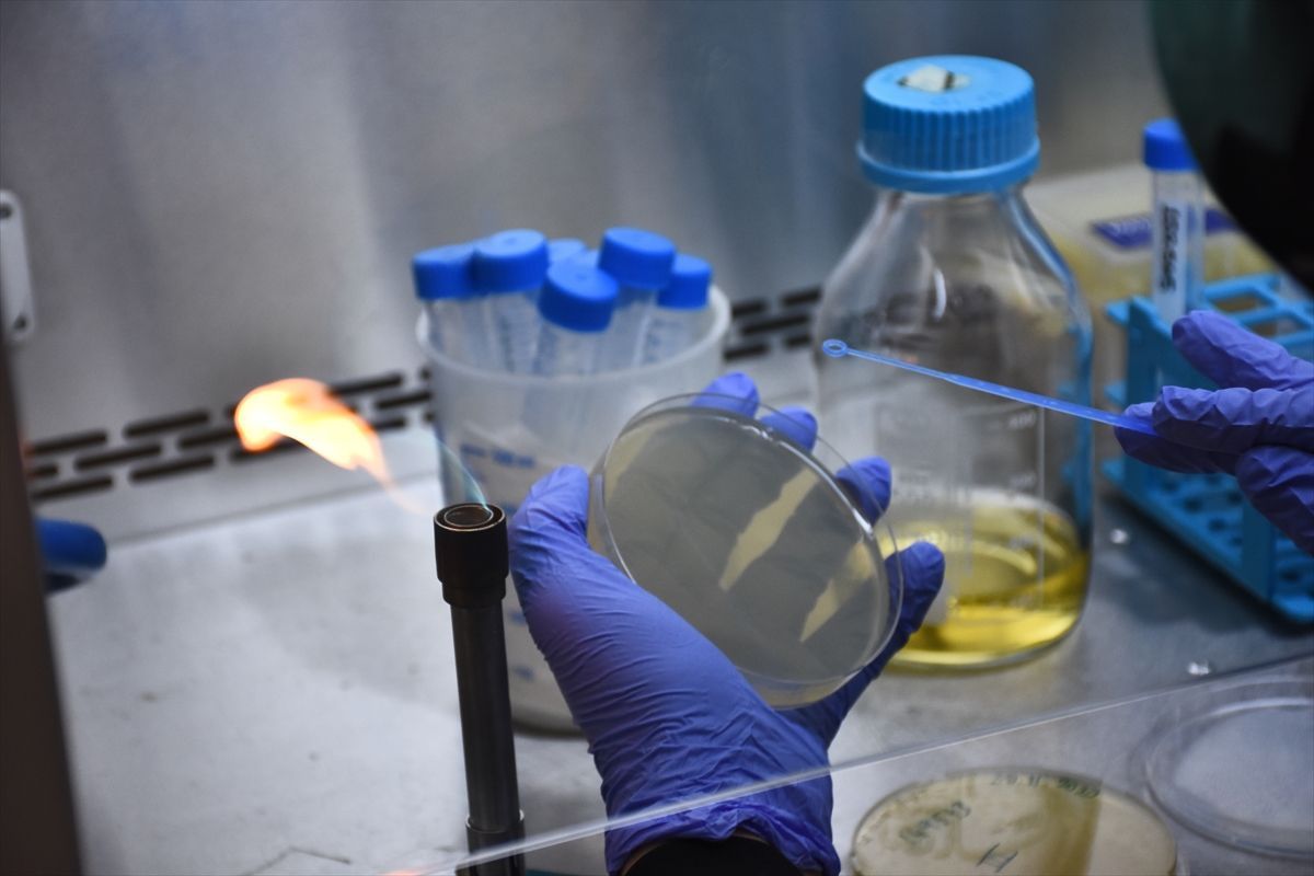 Türkiye'nin ilk mRNA aşısı için geri sayım başladı... 5