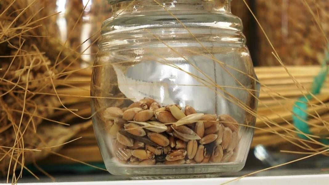 Altından bile daha değerli! Tam 7 bin yıllık 6