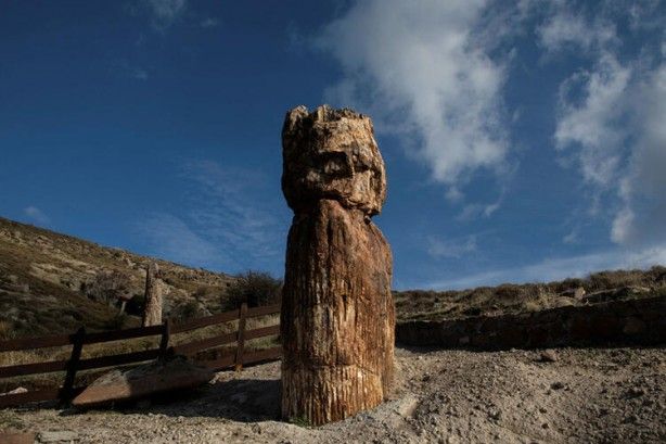 Reuters dünyaya servis etti! Ege'de bulundu 7