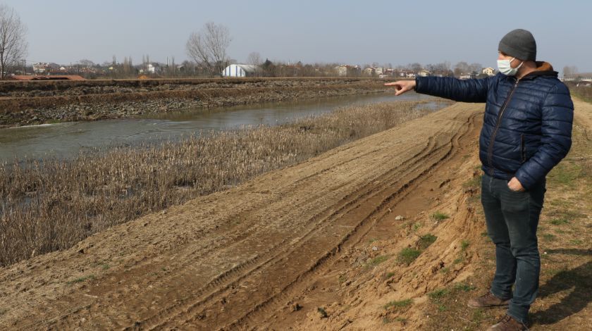 Bulgaristan'dan geldiler! İstilacı tür... 5