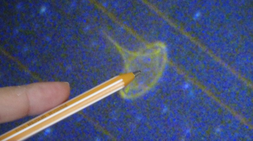 Çektiği fotoğrafı yakınlaştırınca şoke oldu 4