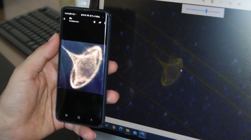 Çektiği fotoğrafı yakınlaştırınca şoke oldu 5