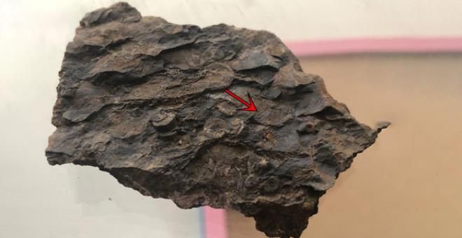 Bu taş, tek bir şeyin varlığına işaret ediyor 4