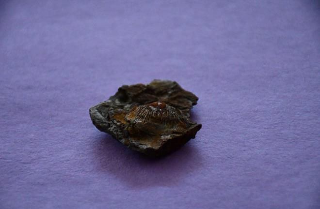 Bu taş, tek bir şeyin varlığına işaret ediyor 9