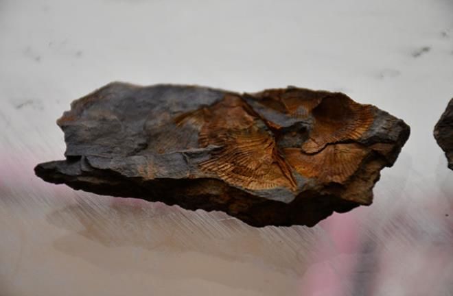 Bu taş, tek bir şeyin varlığına işaret ediyor 6