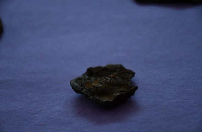 Bu taş, tek bir şeyin varlığına işaret ediyor 7