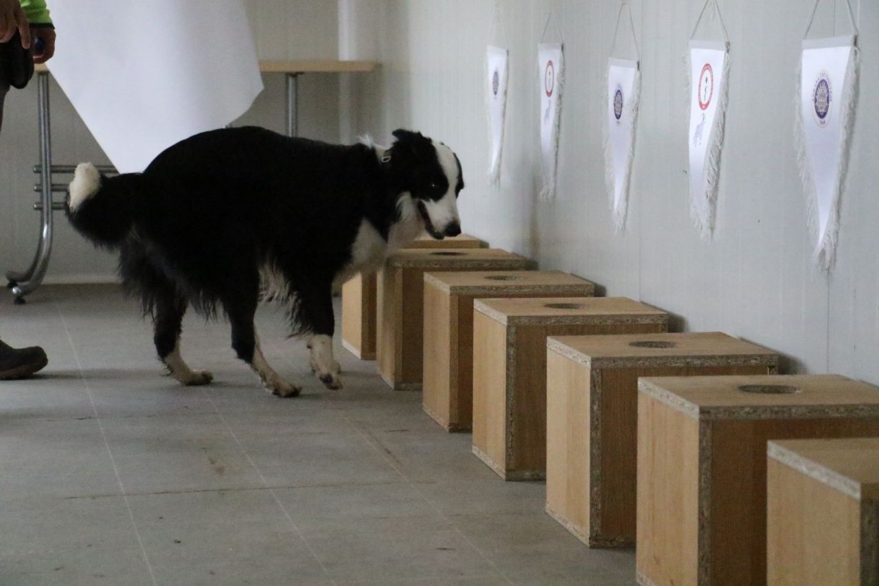 Türkiye'de ilk! Koronayı teşhis ediyor 7