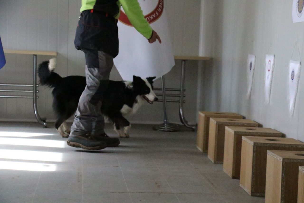 Türkiye'de ilk! Koronayı teşhis ediyor 9