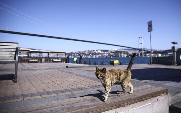 58 şehirde Cumartesi günü sokağa çıkma yasağı! İşte bu illerin listesi 1