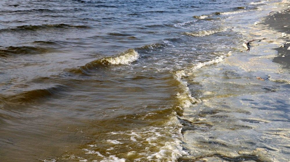 Burdur Gölü'nde korkutan görüntü 4