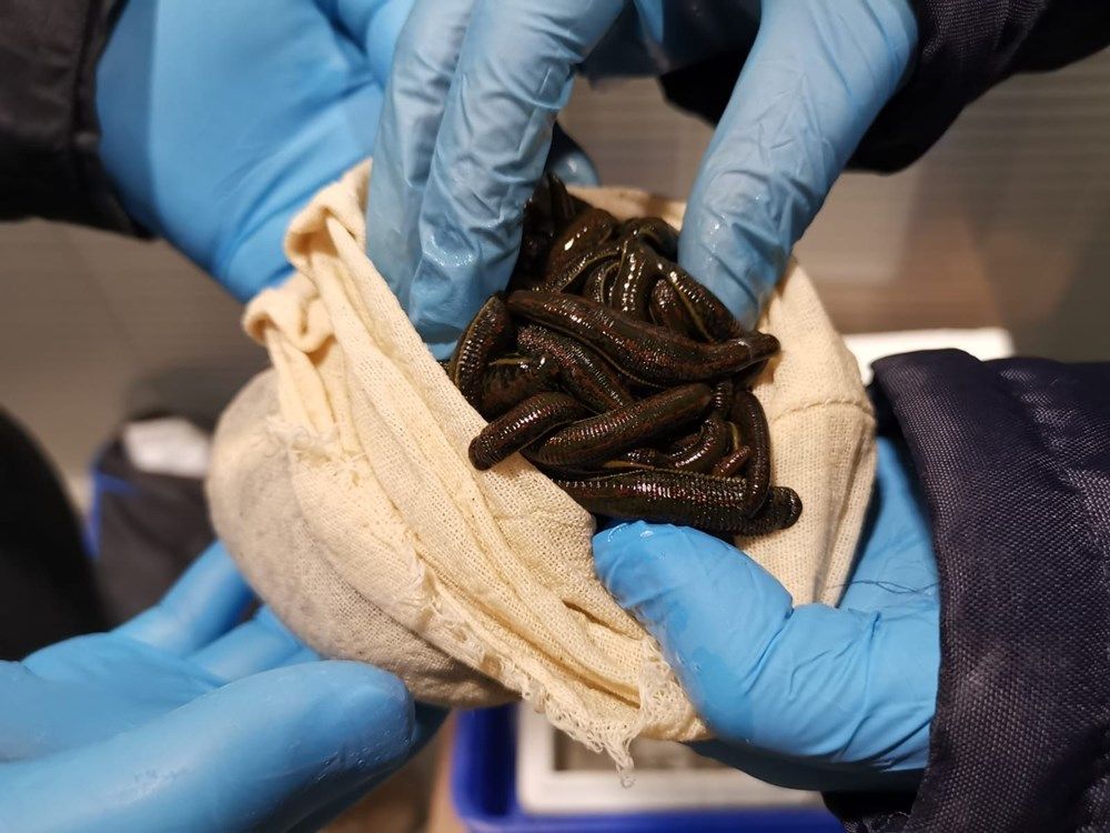 Sabiha Gökçen'de operasyon: Yolcunun valizinden çıktı 2