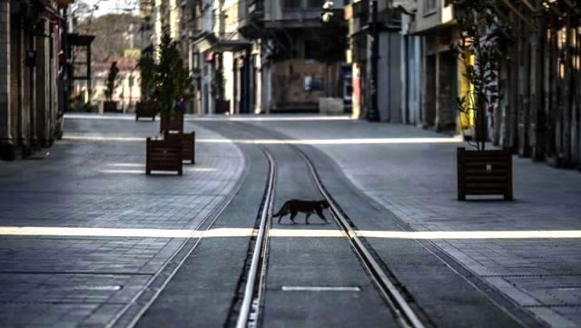 Bilim Kurulu üyesi alınacak yeni tedbirleri açıkladı! 8
