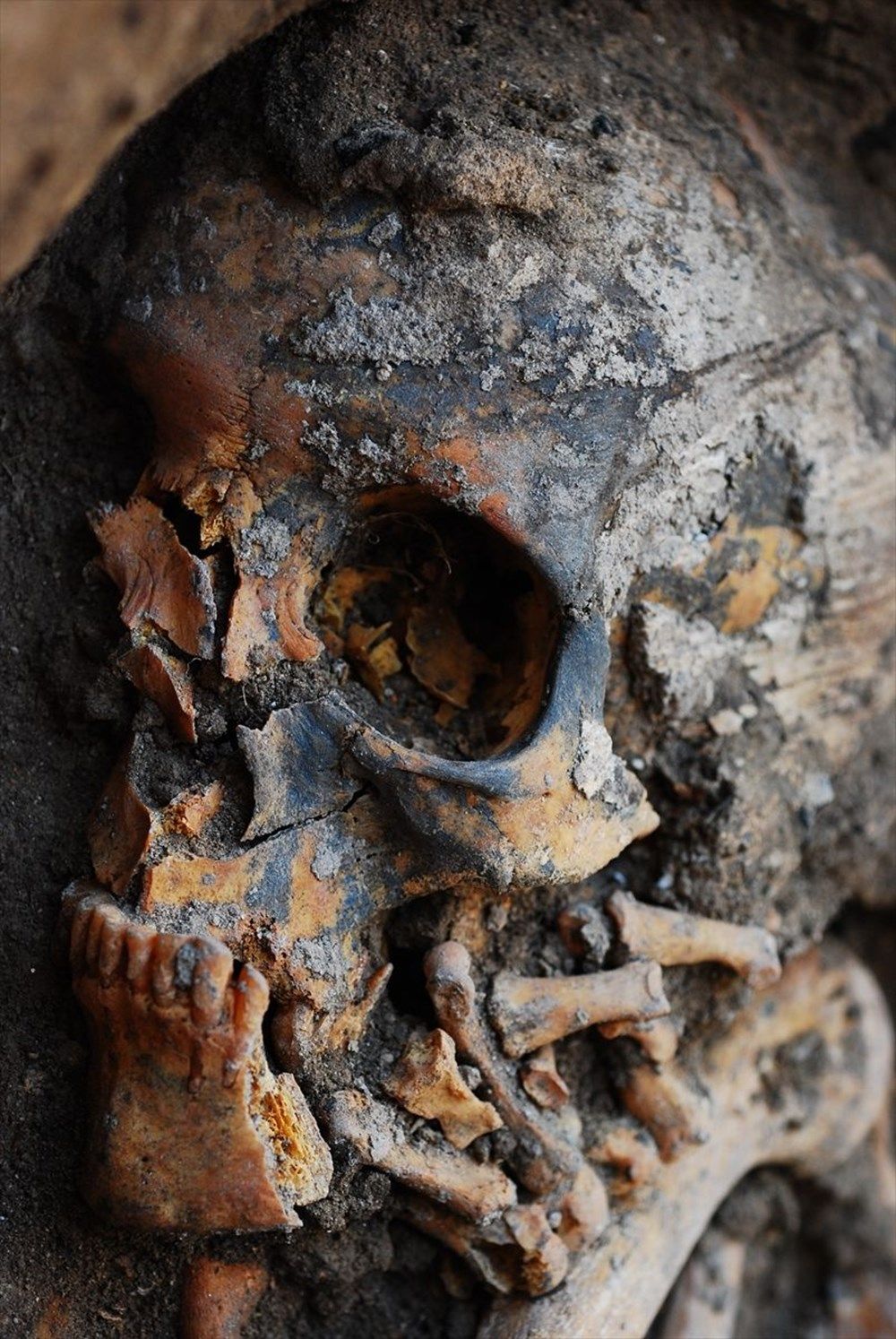 DNA analizleri, Anadolu'da 10 bin yıl önceki topluluklara ışık tuttu 6