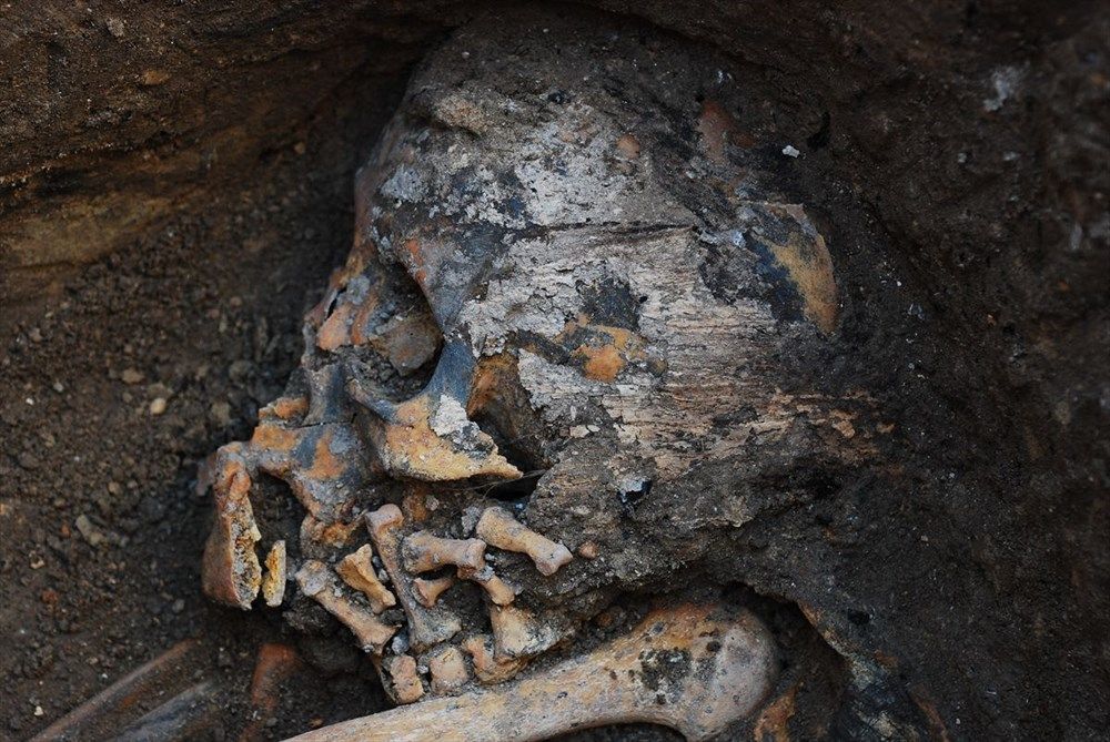 DNA analizleri, Anadolu'da 10 bin yıl önceki topluluklara ışık tuttu 11