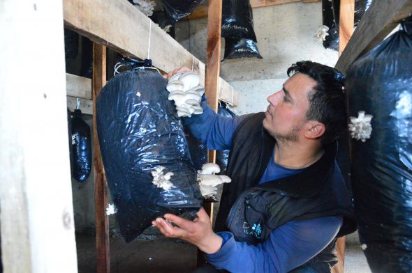 Hobi olarak başladı, şimdi taleplere yetişemiyor 1