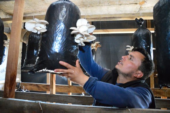 Hobi olarak başladı, şimdi taleplere yetişemiyor 2