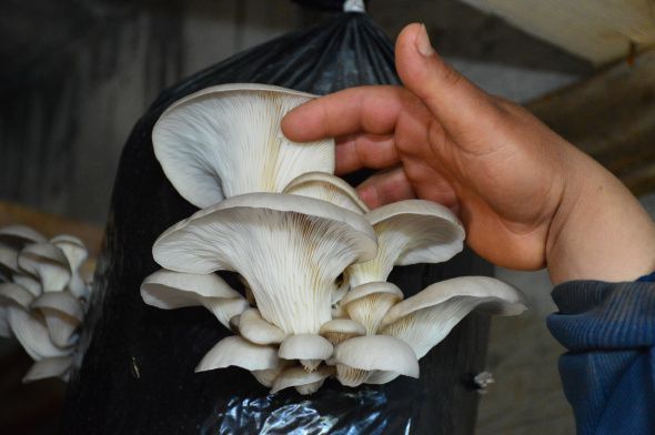 Hobi olarak başladı, şimdi taleplere yetişemiyor 4