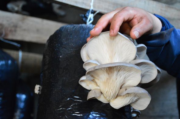 Hobi olarak başladı, şimdi taleplere yetişemiyor 5