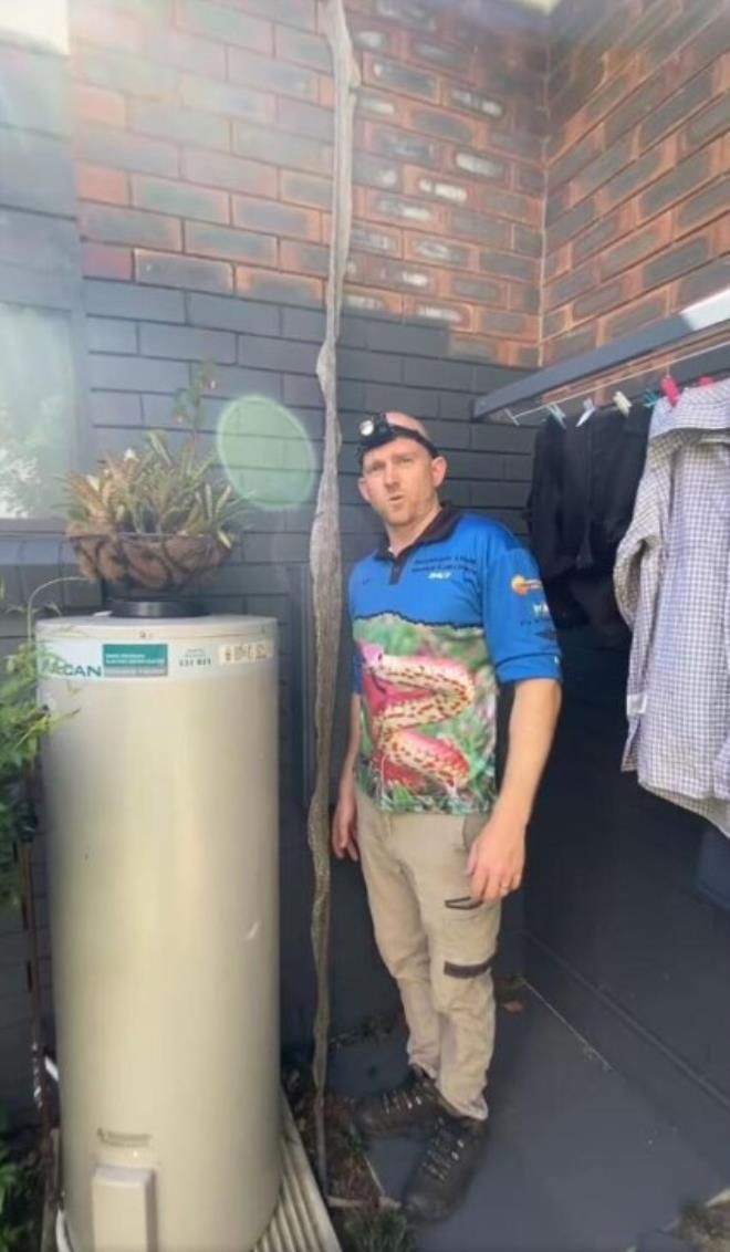 Evinin çatısında karşılaştığı manzara uykularını kaçırdı! 3