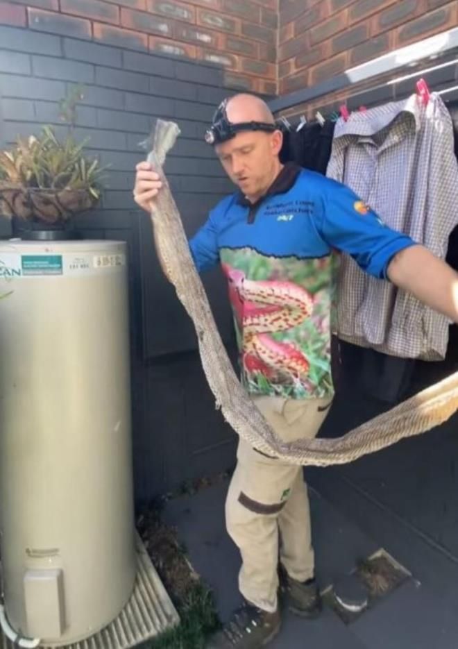 Evinin çatısında karşılaştığı manzara uykularını kaçırdı! 5