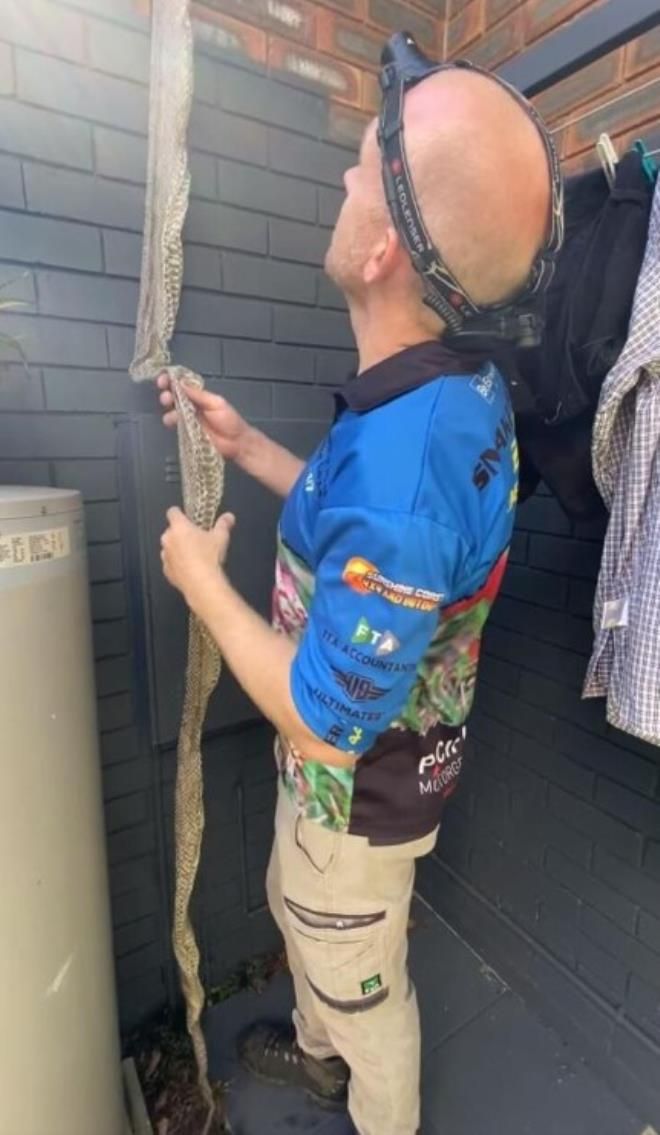 Evinin çatısında karşılaştığı manzara uykularını kaçırdı! 4