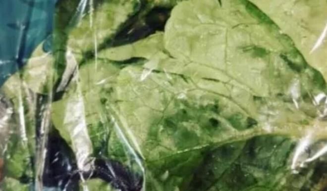 Evinin çatısında karşılaştığı manzara uykularını kaçırdı! 11