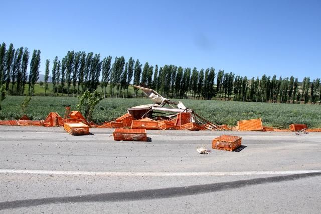 Sürücünün dikkatsizliğinin bedelini onlar ödedi 1