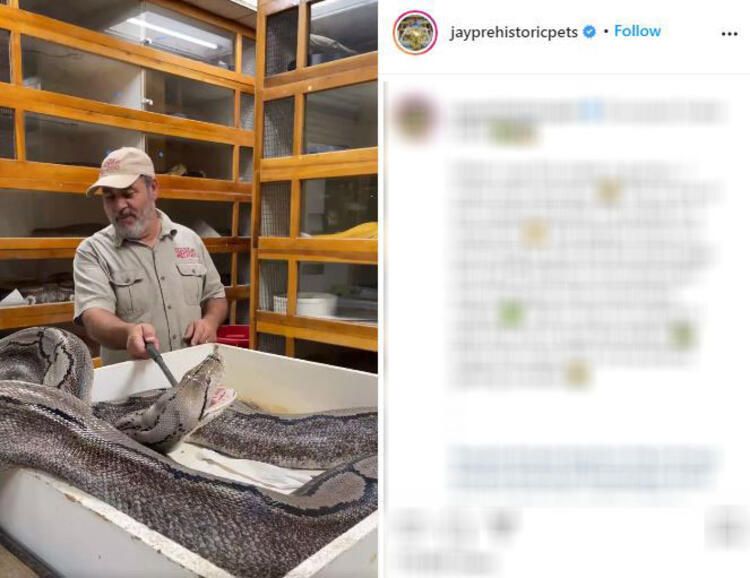 Böylesi hiç görülmemişti! Demirden dişleri var 36