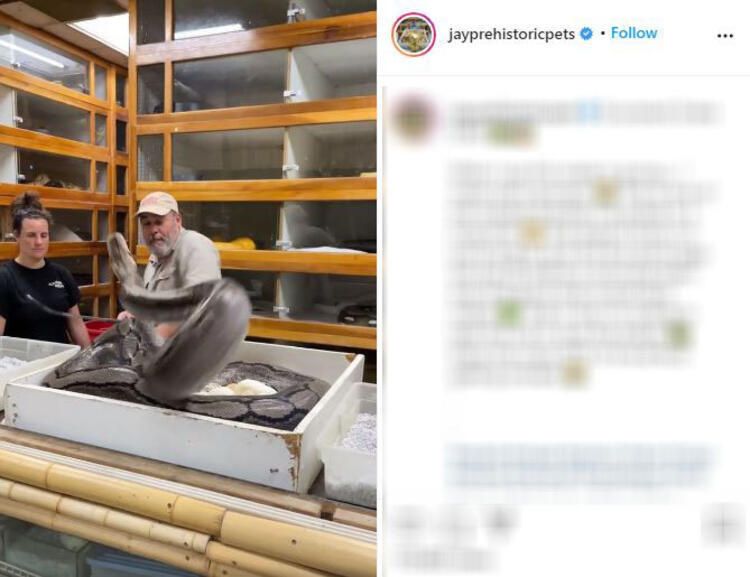 Böylesi hiç görülmemişti! Demirden dişleri var 37