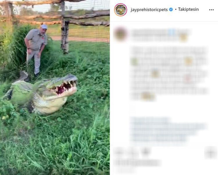 Böylesi hiç görülmemişti! Demirden dişleri var 33