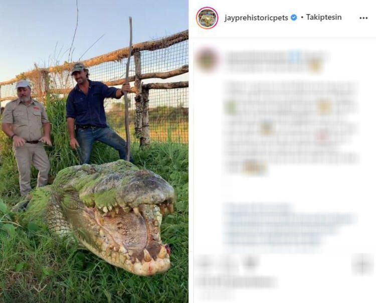 Böylesi hiç görülmemişti! Demirden dişleri var 29