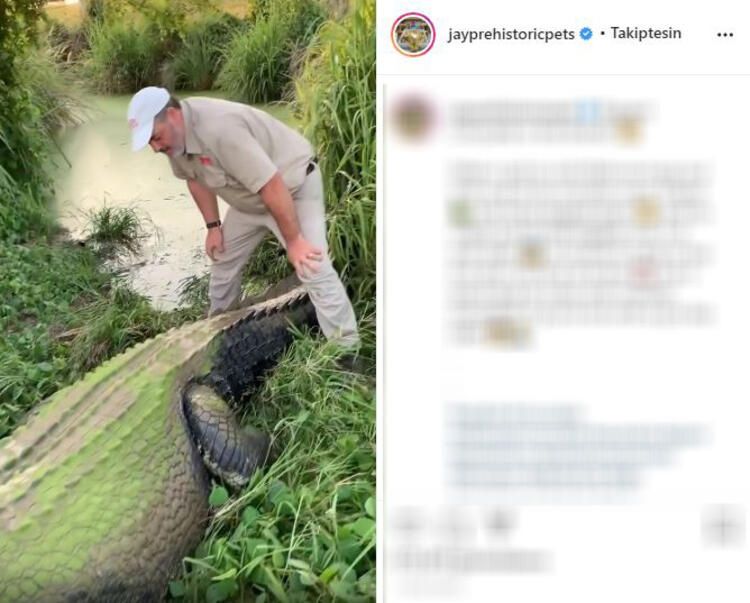 Böylesi hiç görülmemişti! Demirden dişleri var 31