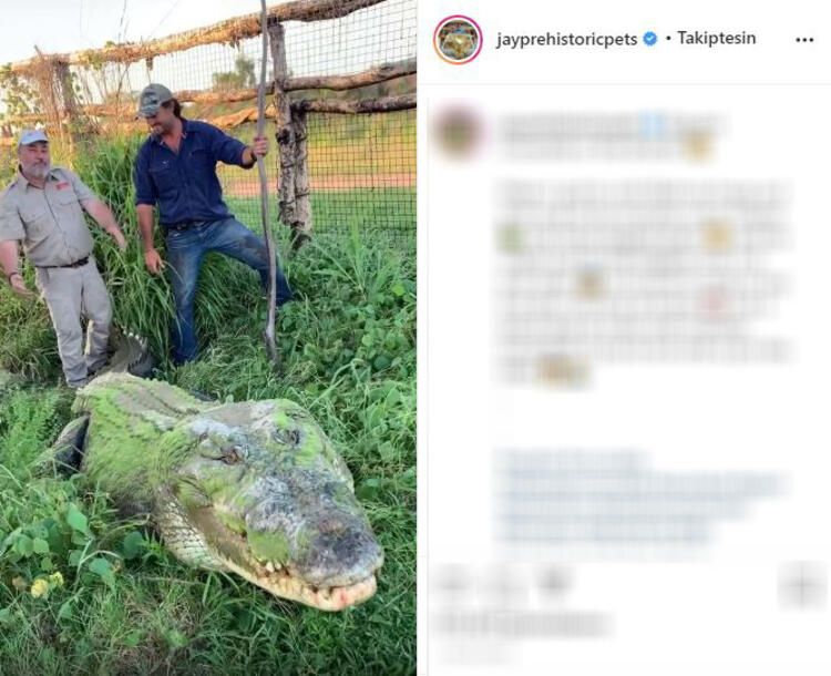 Böylesi hiç görülmemişti! Demirden dişleri var 34