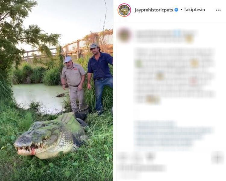 Böylesi hiç görülmemişti! Demirden dişleri var 32