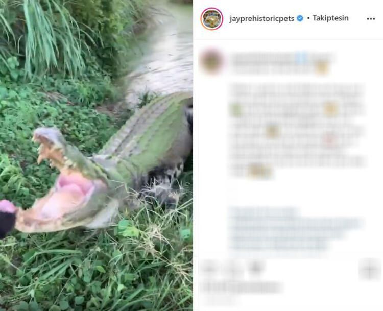 Böylesi hiç görülmemişti! Demirden dişleri var 30