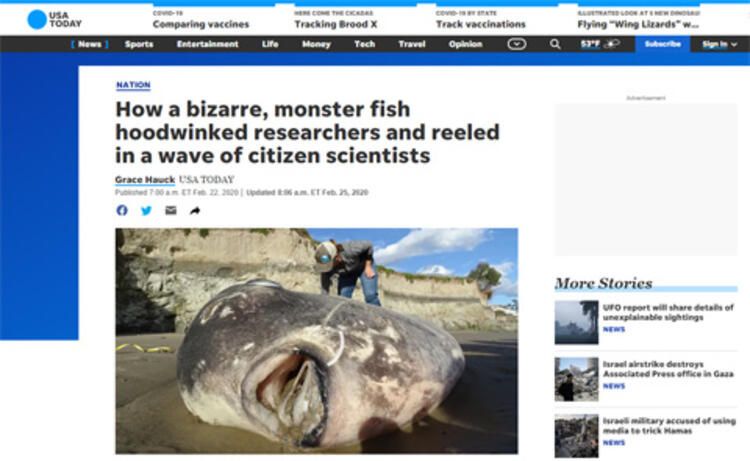 Böylesi hiç görülmemişti! Demirden dişleri var 24