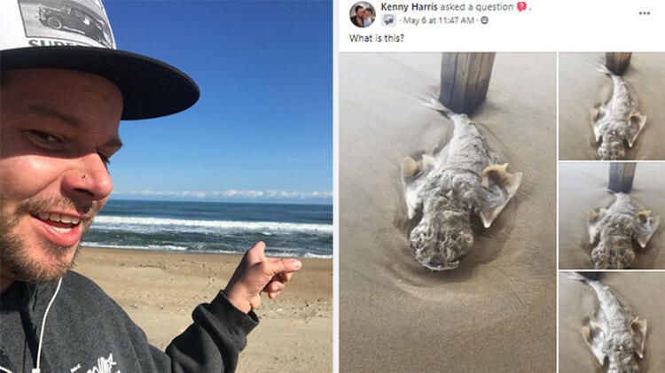 Böylesi hiç görülmemişti! Demirden dişleri var 8