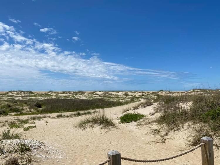 Böylesi hiç görülmemişti! Demirden dişleri var 14