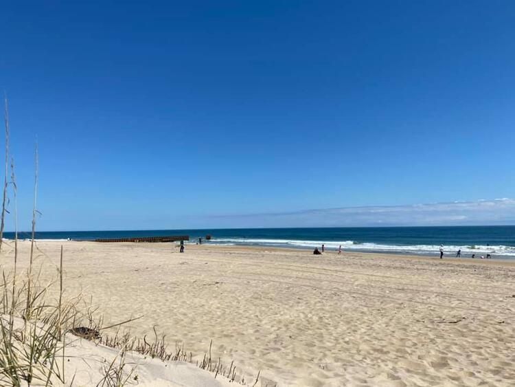 Böylesi hiç görülmemişti! Demirden dişleri var 9